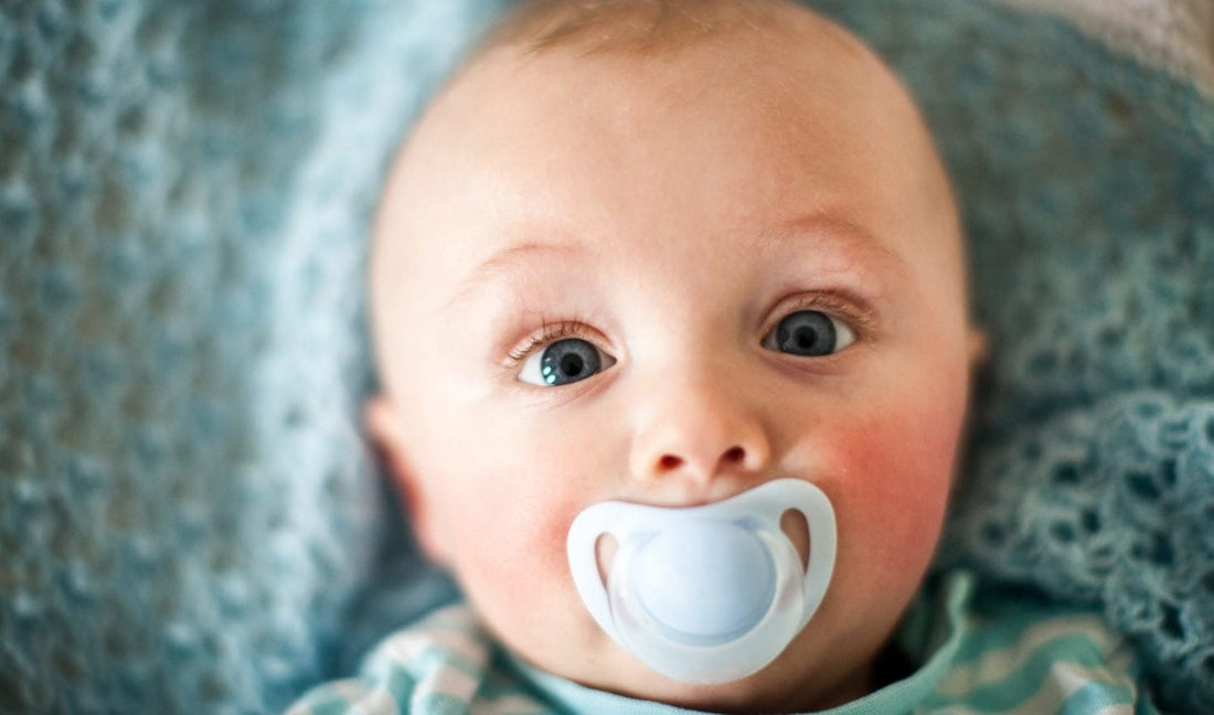 Baby Pacifiers: All You Need To Know at BabyBambinos